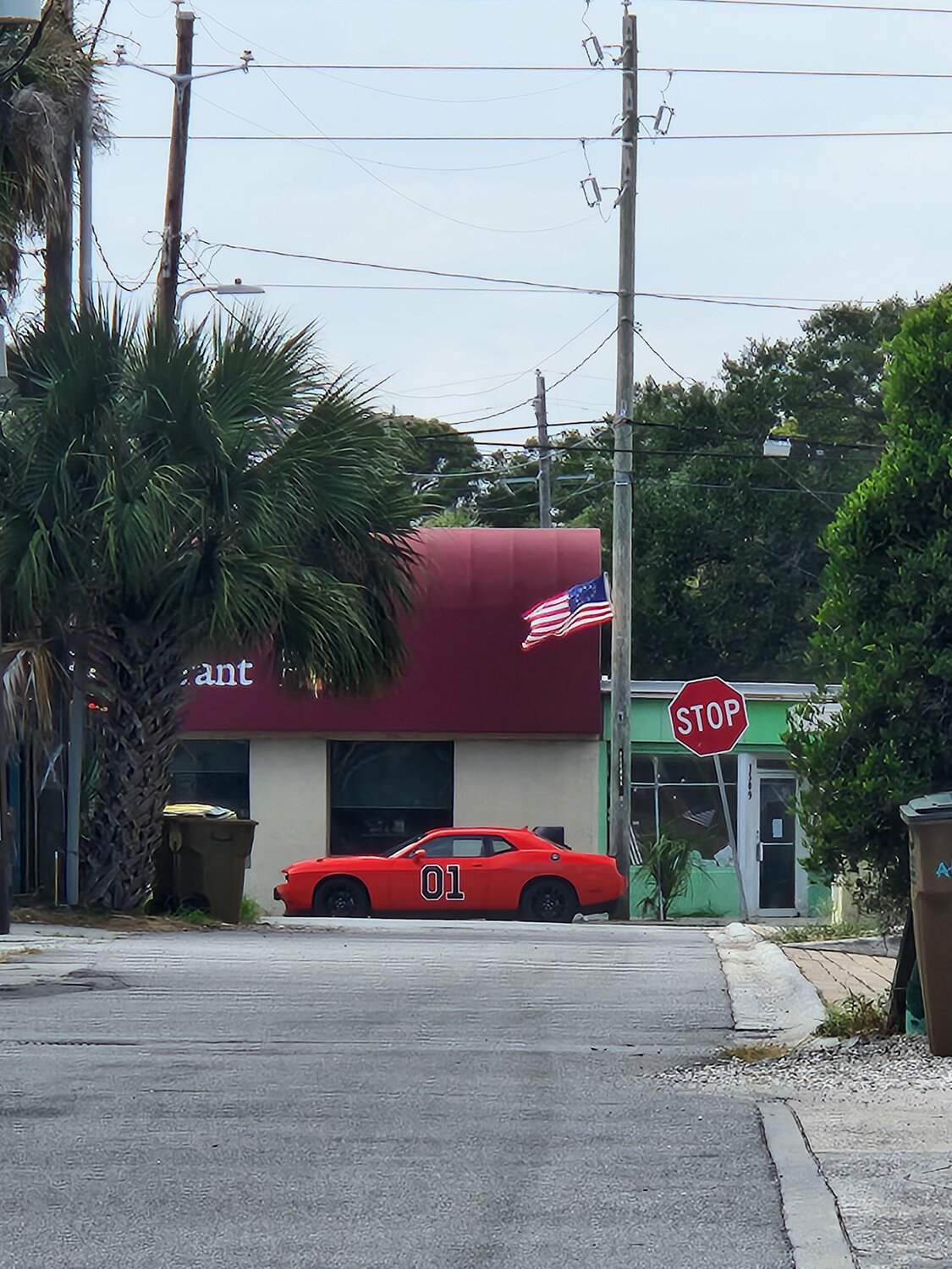Red in Savannah