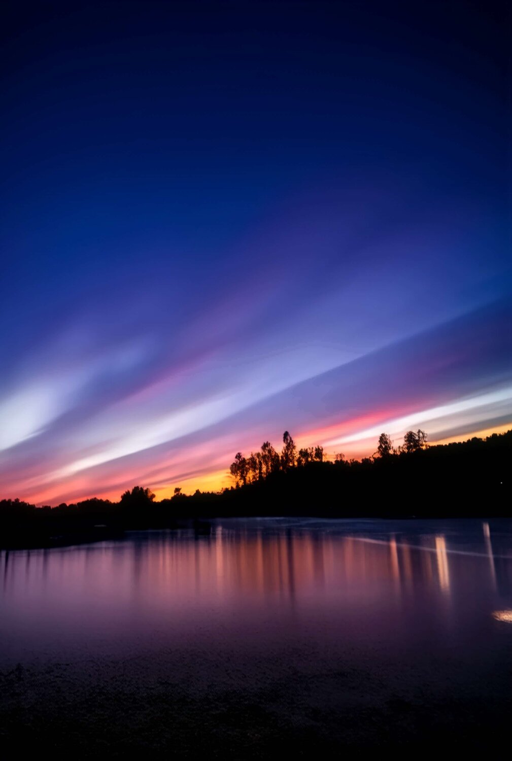 Painted Twilight
