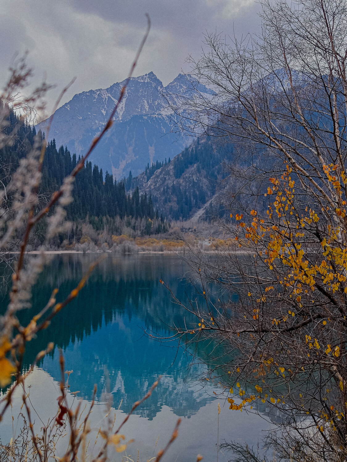 Photo #14194075