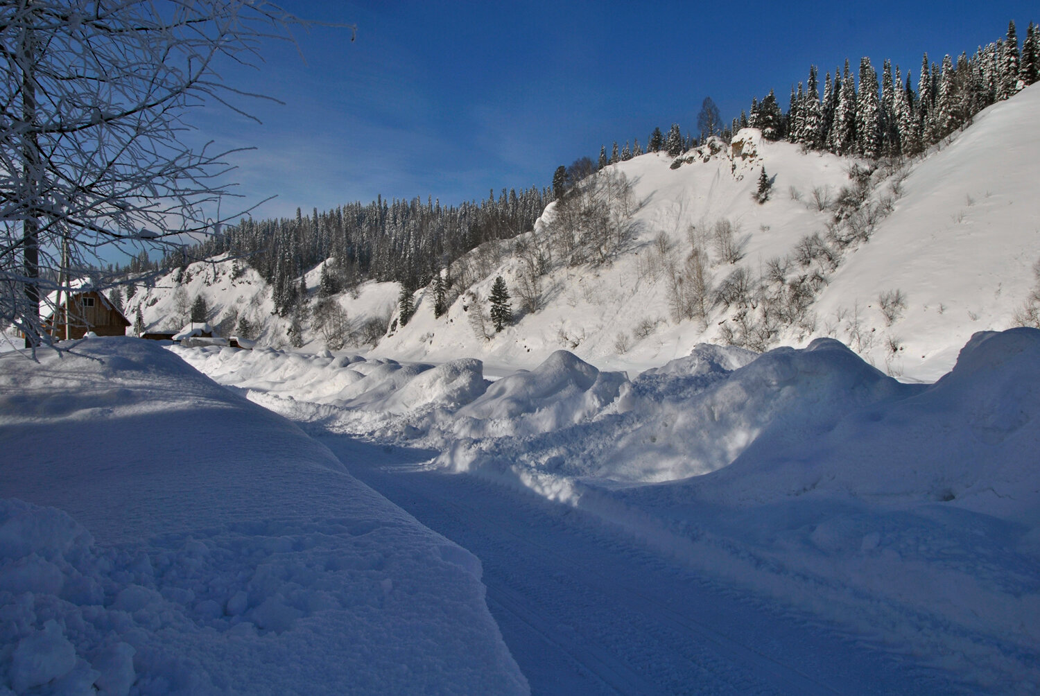 Photo #14194863