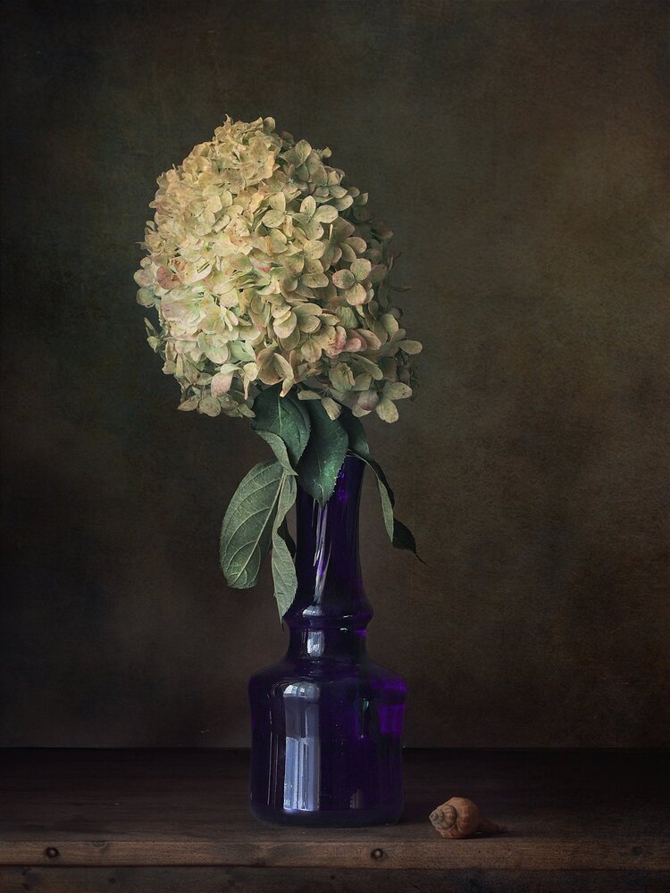 Photograph by Валентина Евсеева