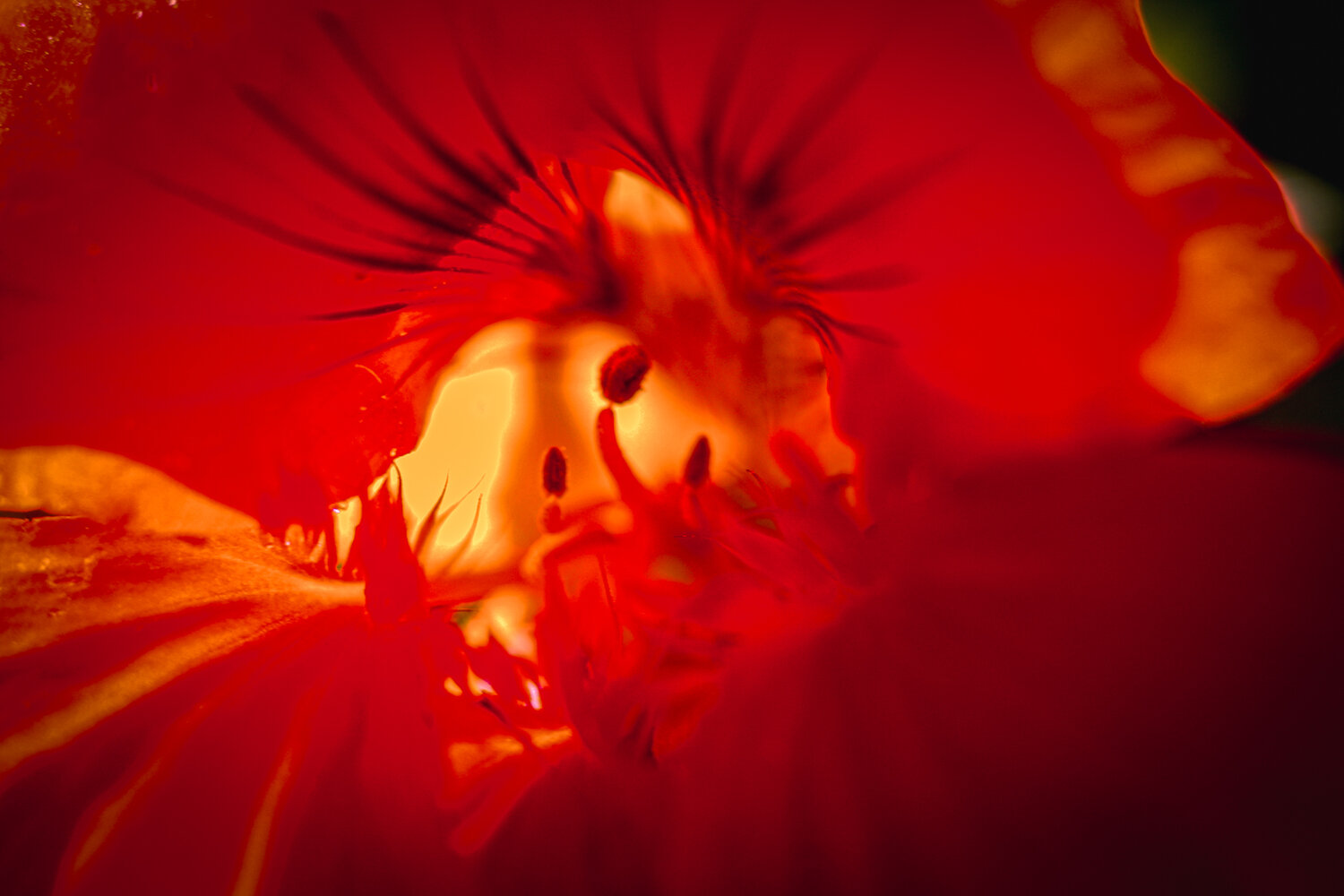 Photo #14195474