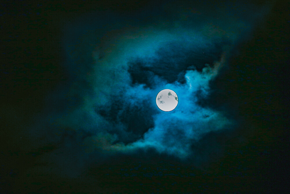 Photograph by Lydia Hebras