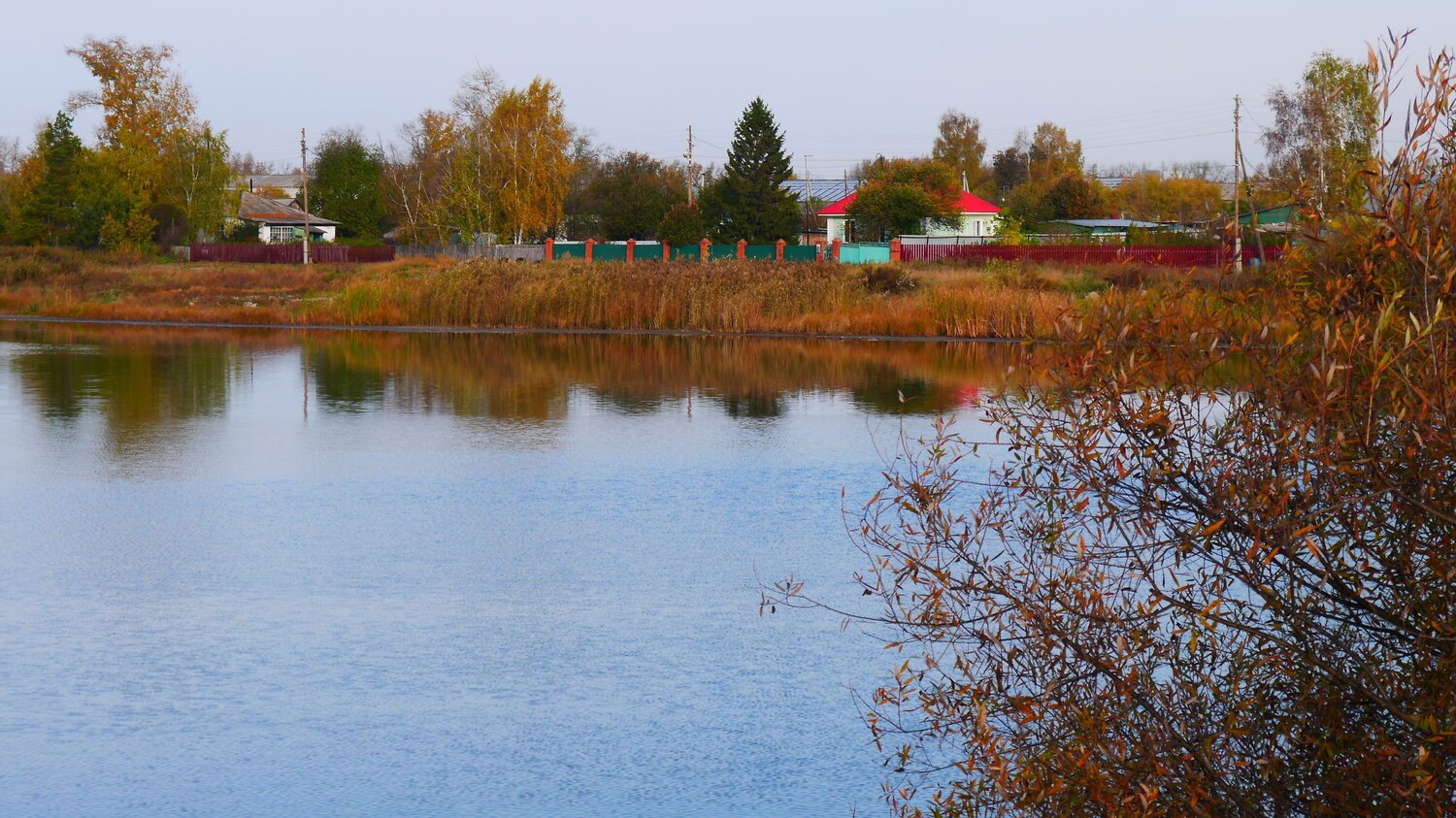 Photo #14195813