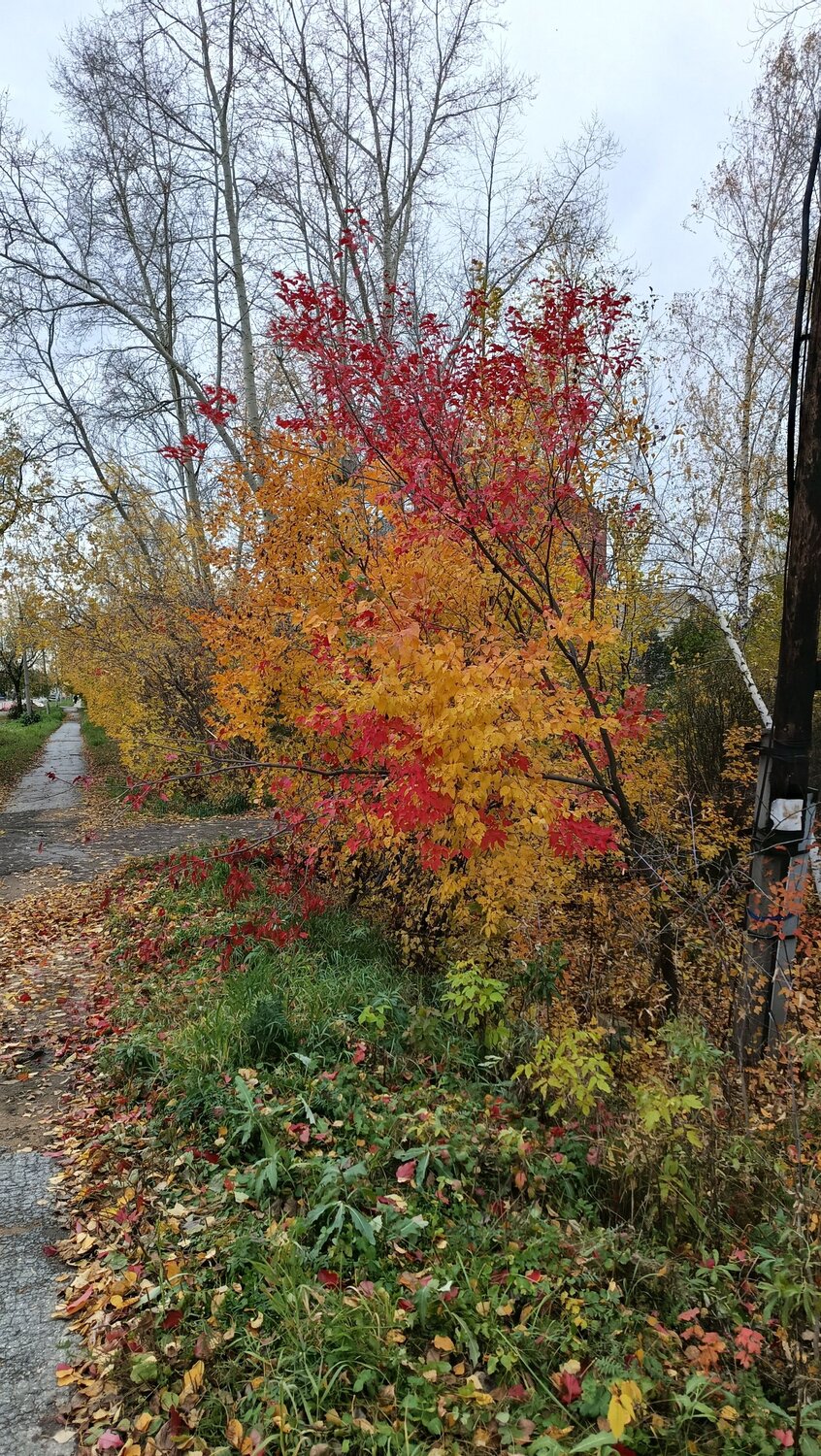 Photo #14195845