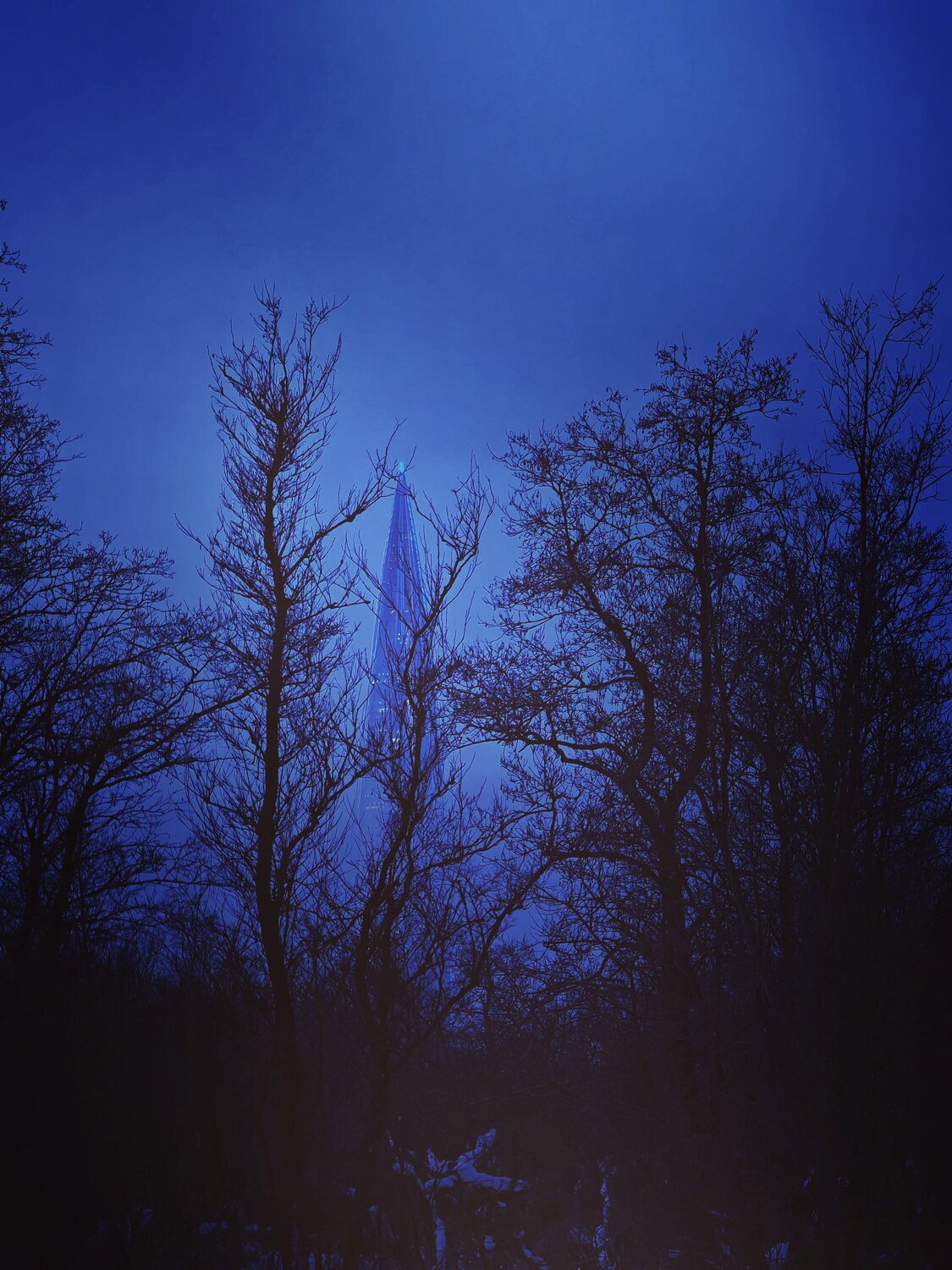Photo #14196509