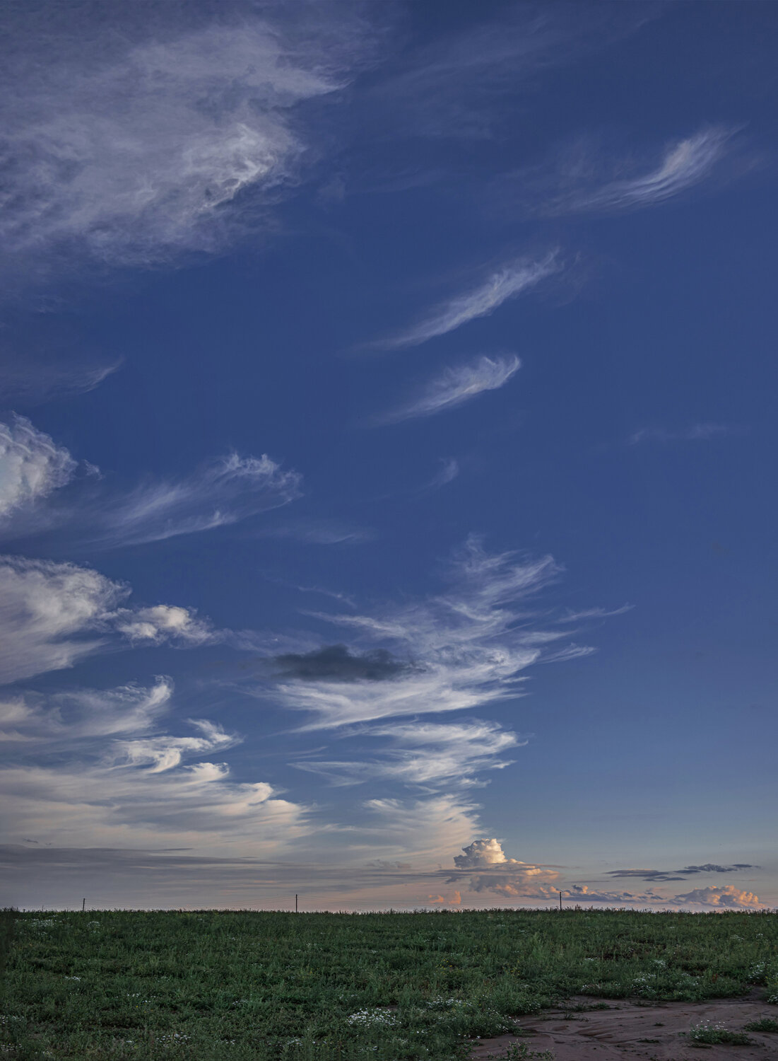 Photo #14196704