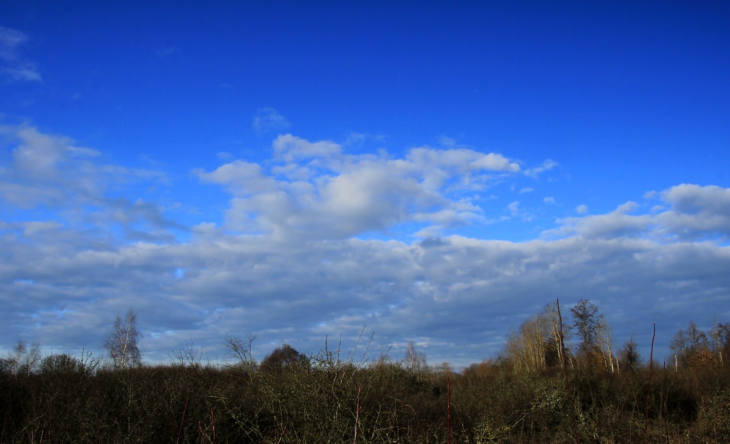 Photo #14197811