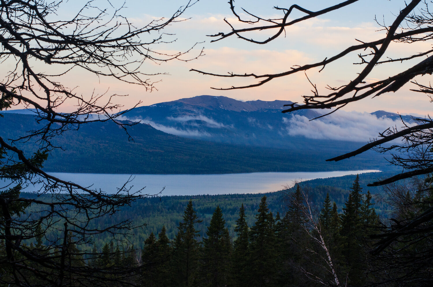 Photo #14198552