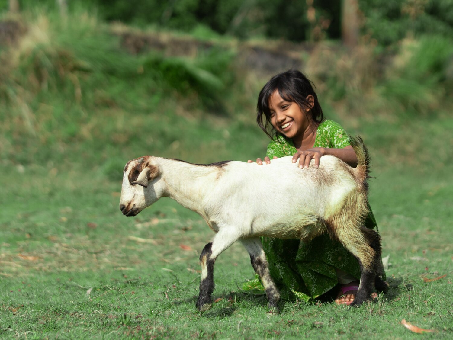 Joy of Rural Life