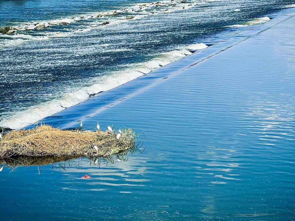 Photograph by 2laa abdelfattah