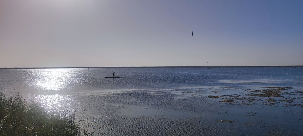 The Man of the Lagoon