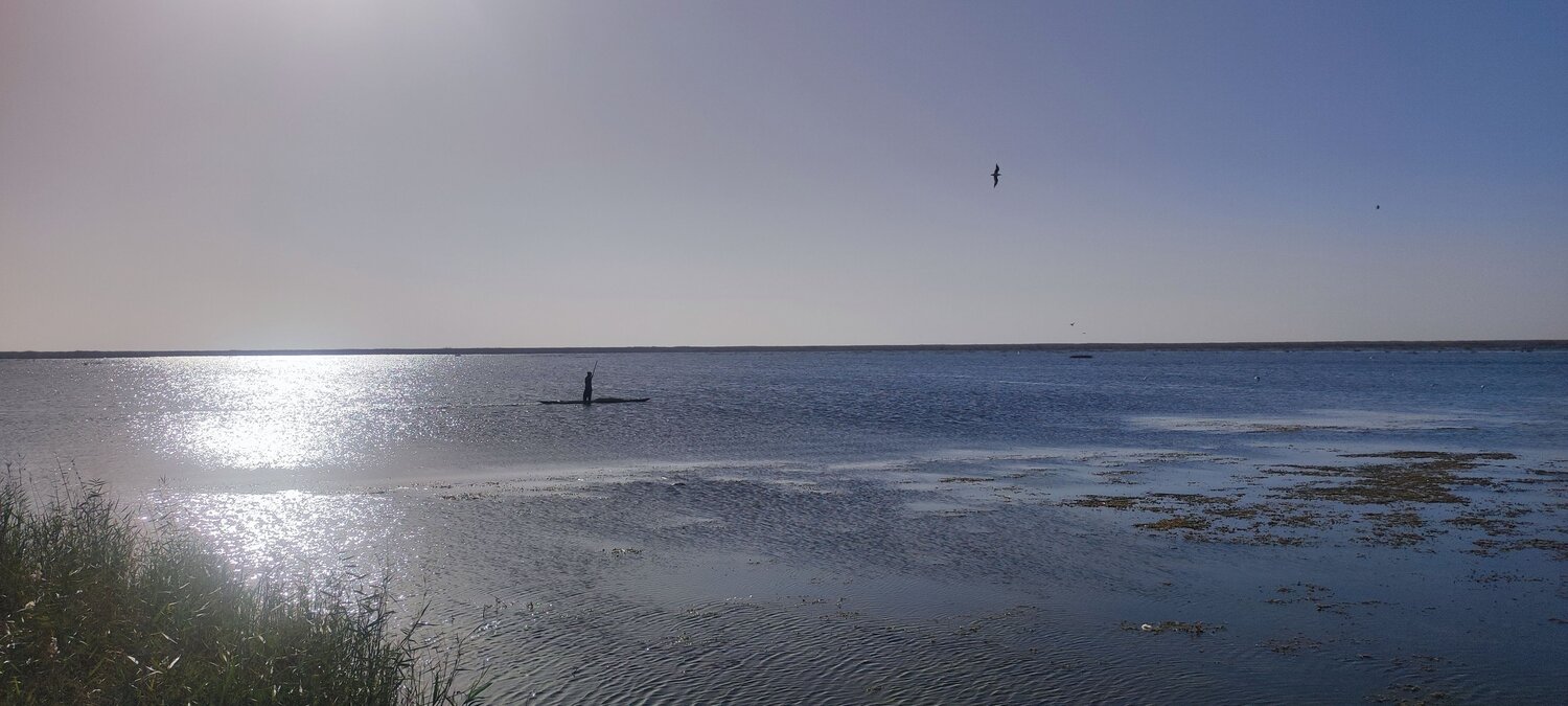 The Man of the Lagoon