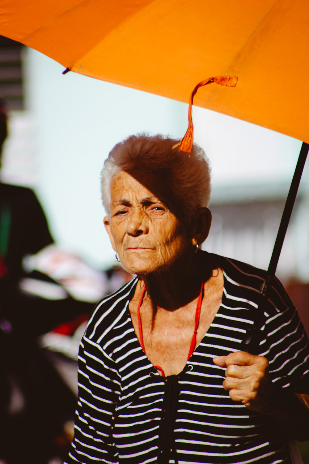 Photo #14199358