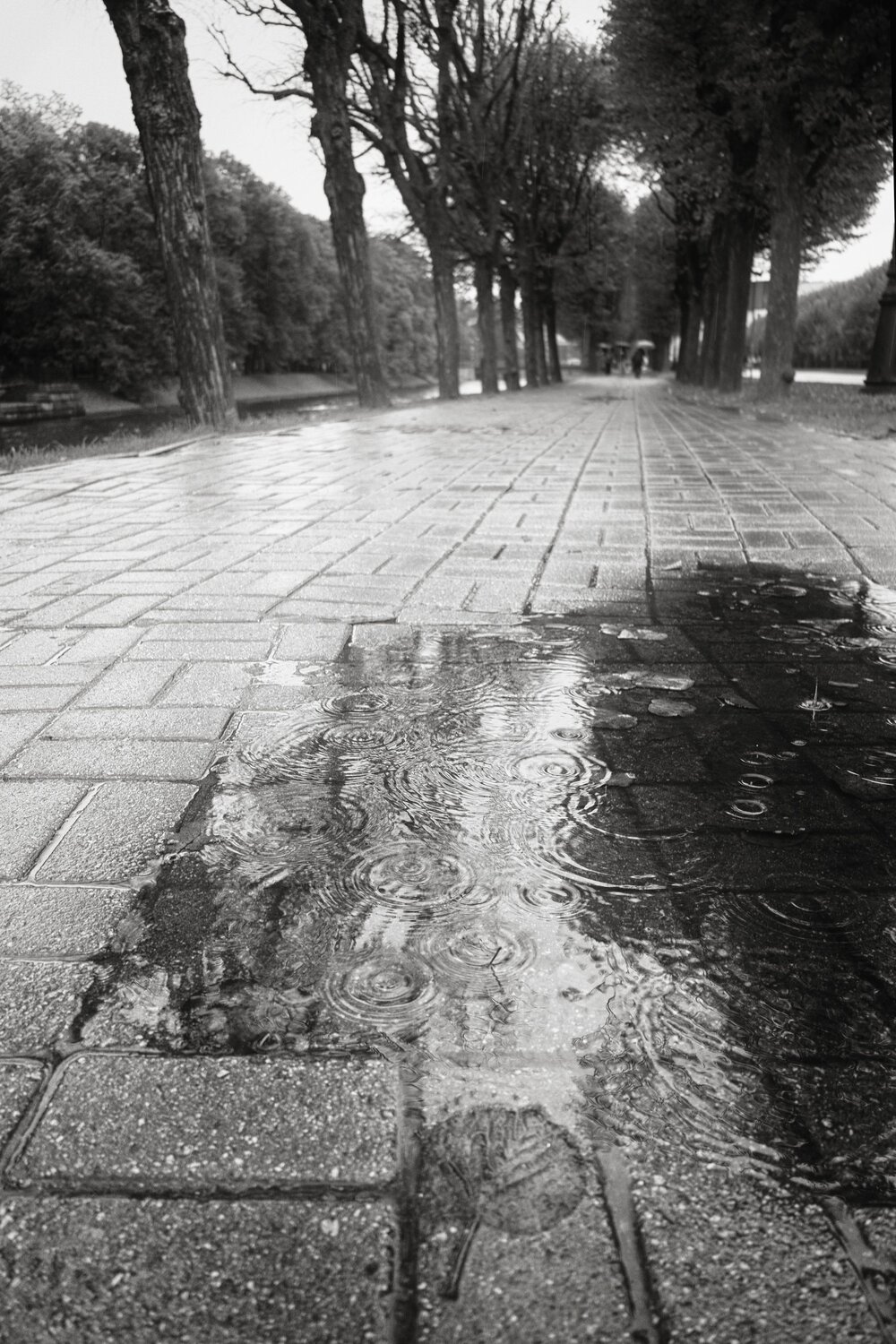 Photo #14199776