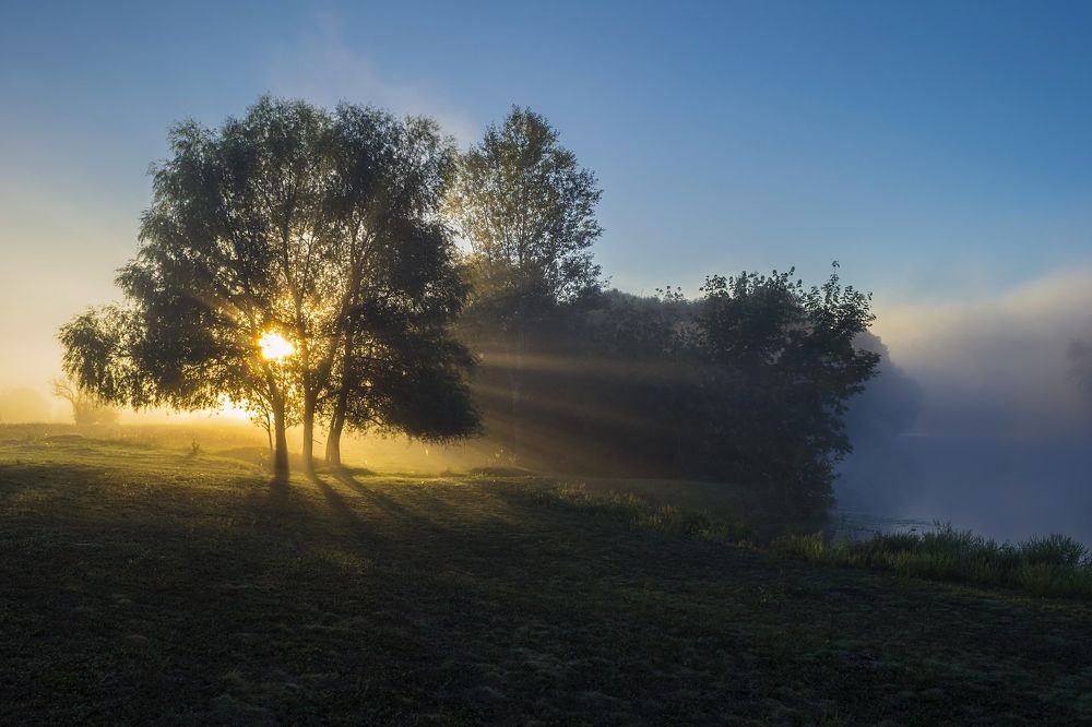 Свет сквозь туман