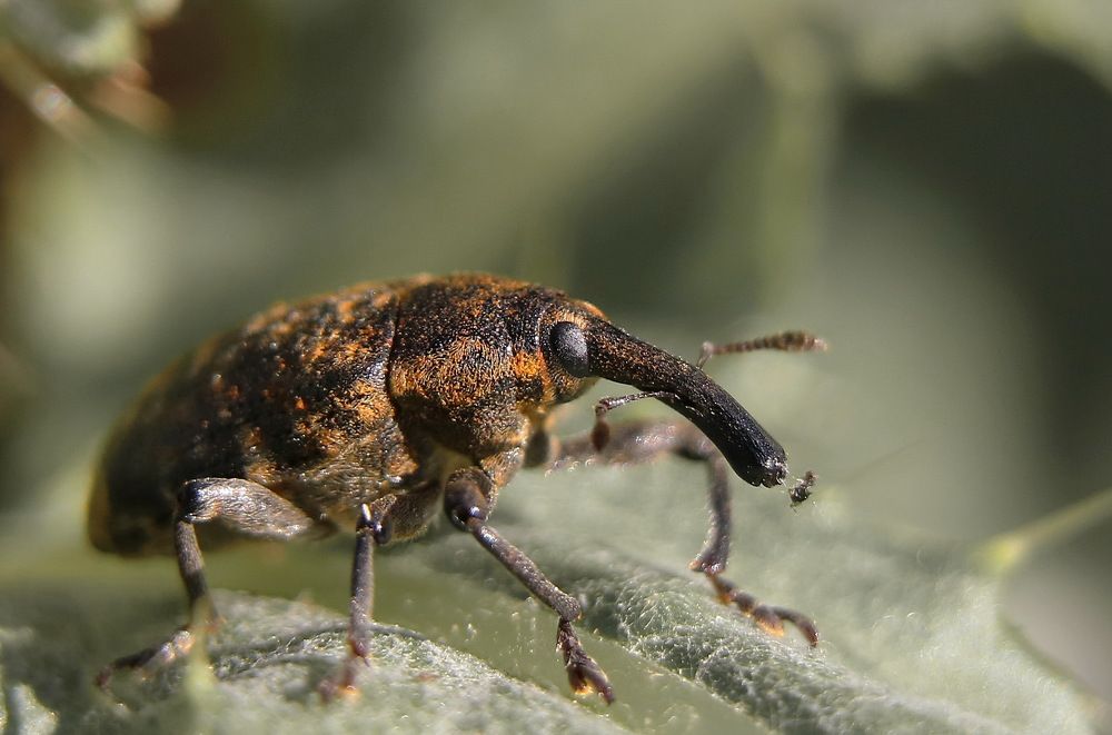 Photograph by Игорь Осипов