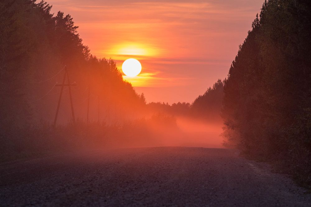 Дорога. Туман. Закат.
