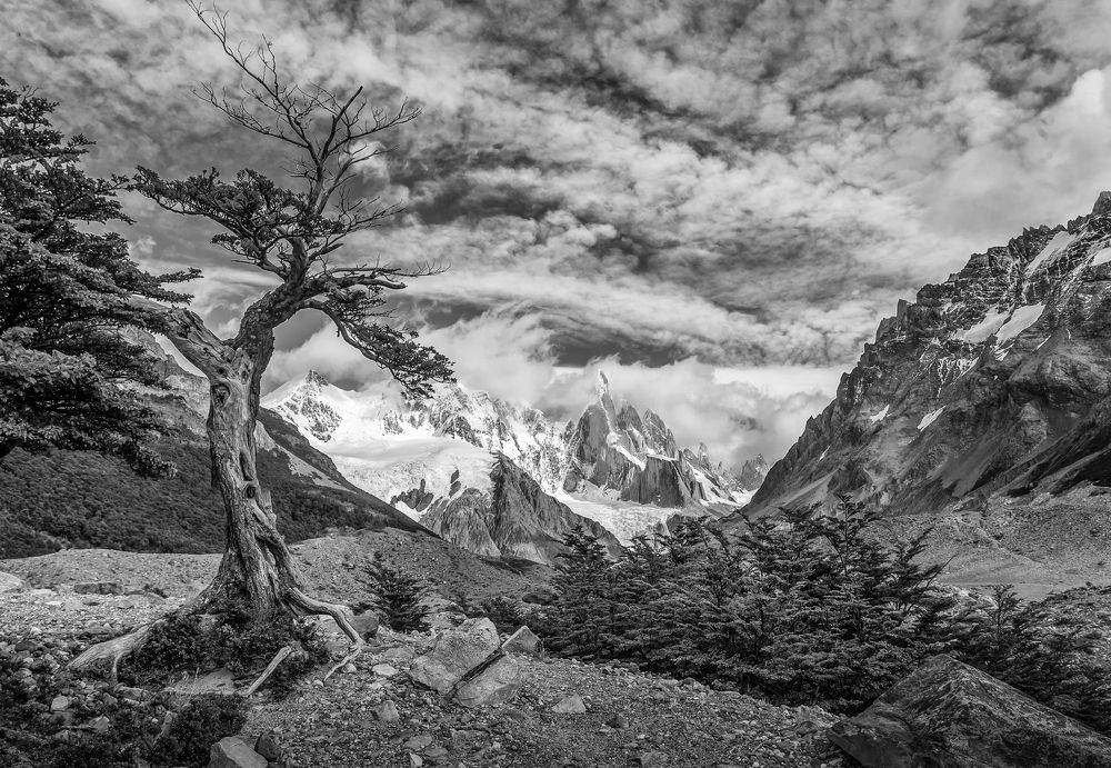 Здесь кончается лес.