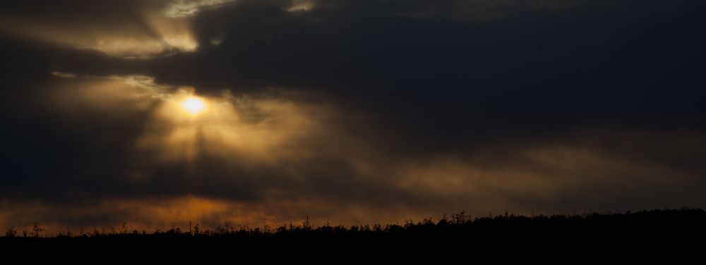 Photograph by Алексей