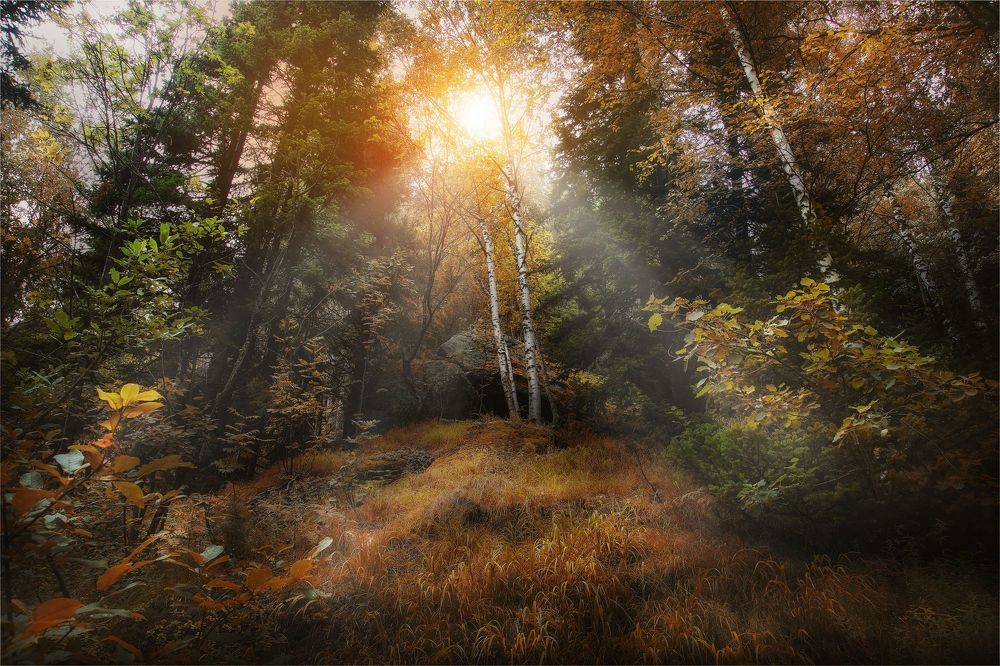 Шерегешские осенние тропы!