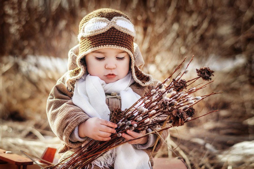 Малыш и ивовая роза