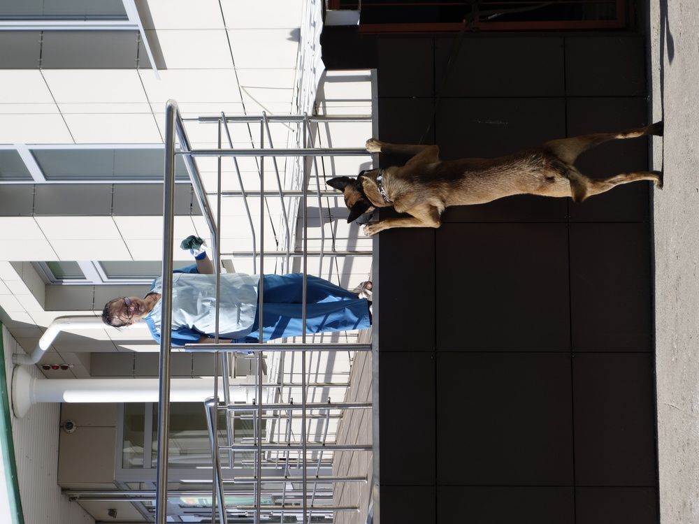 Хозяина позовите!