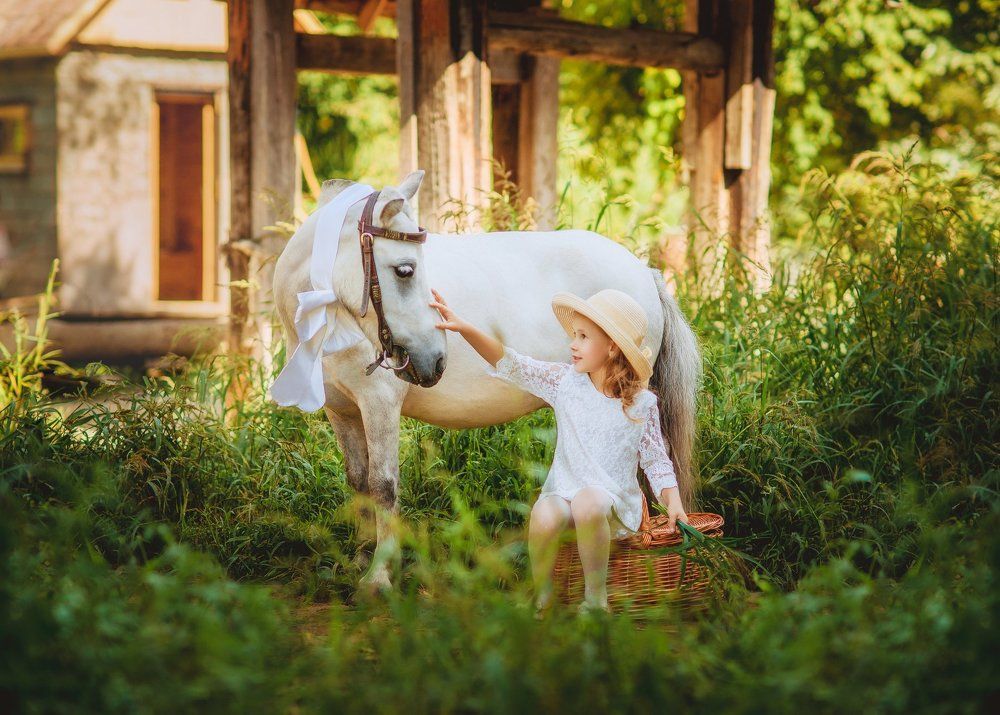 Фотография автора Диана Липкина