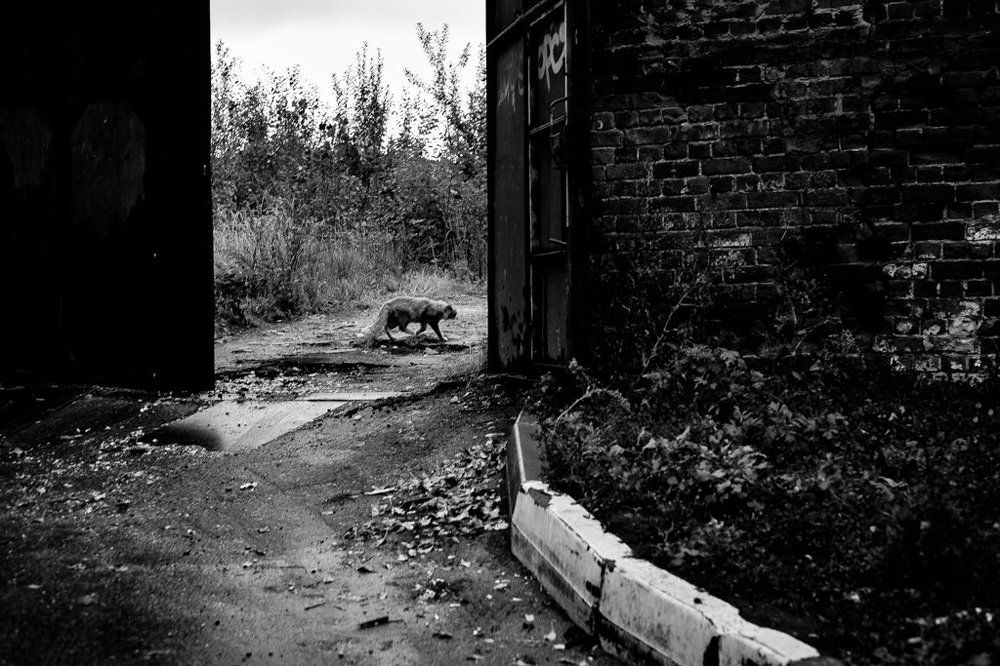 Фотография автора Большаков Илья