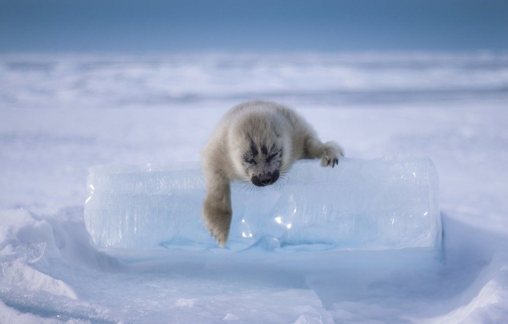 Сон на мартовском солнышке