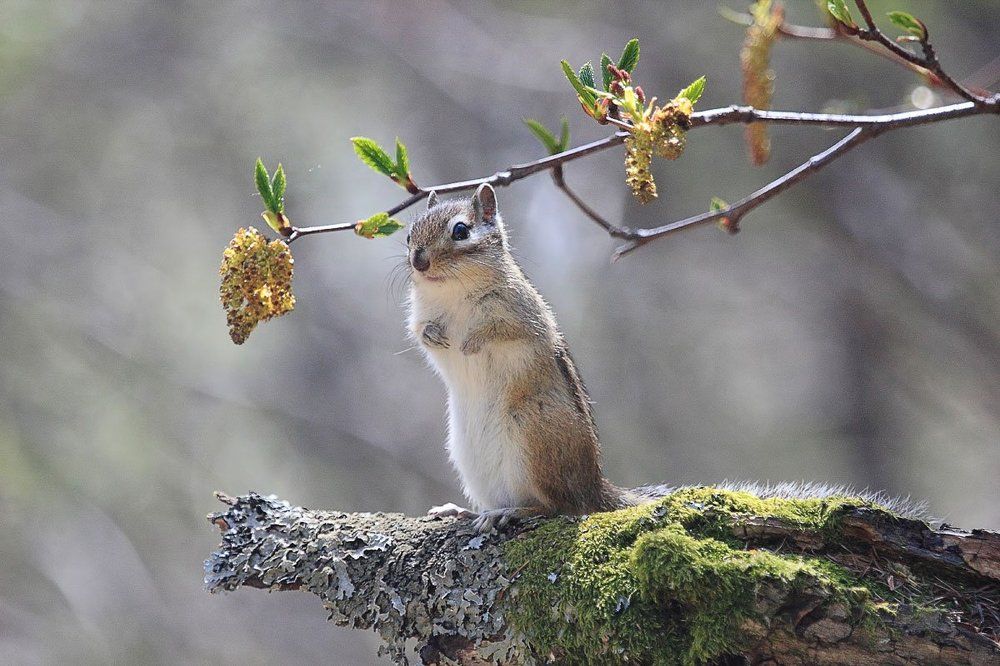 Ждём урожая.