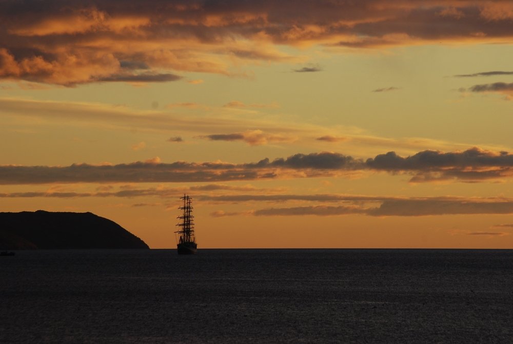 Паллада в б.Нагаево