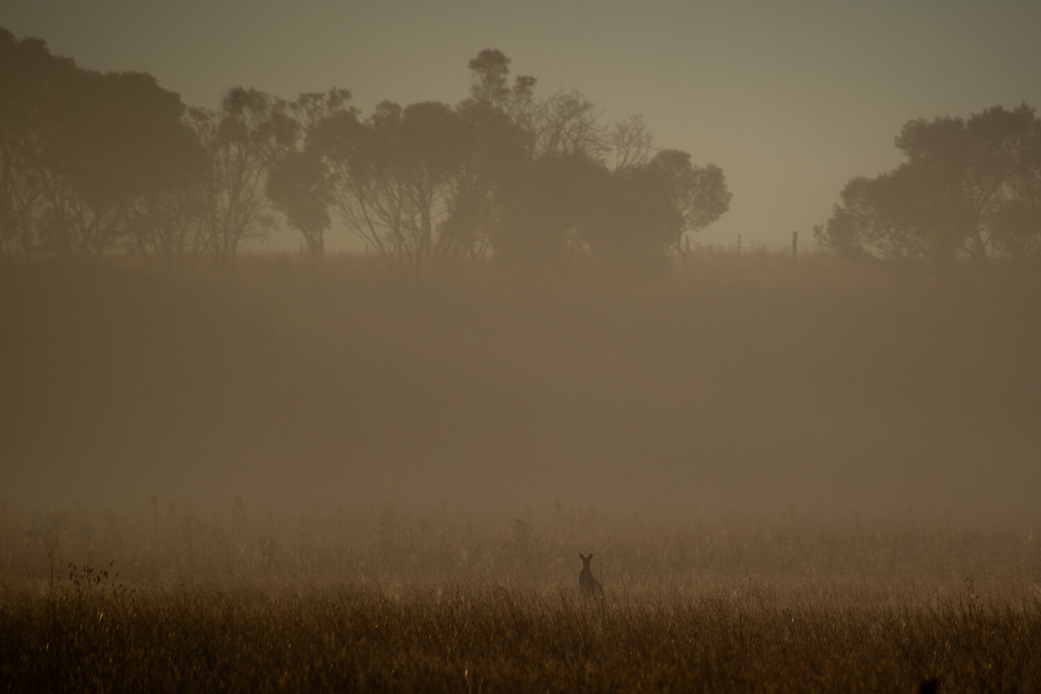 A dry Australian Autumn