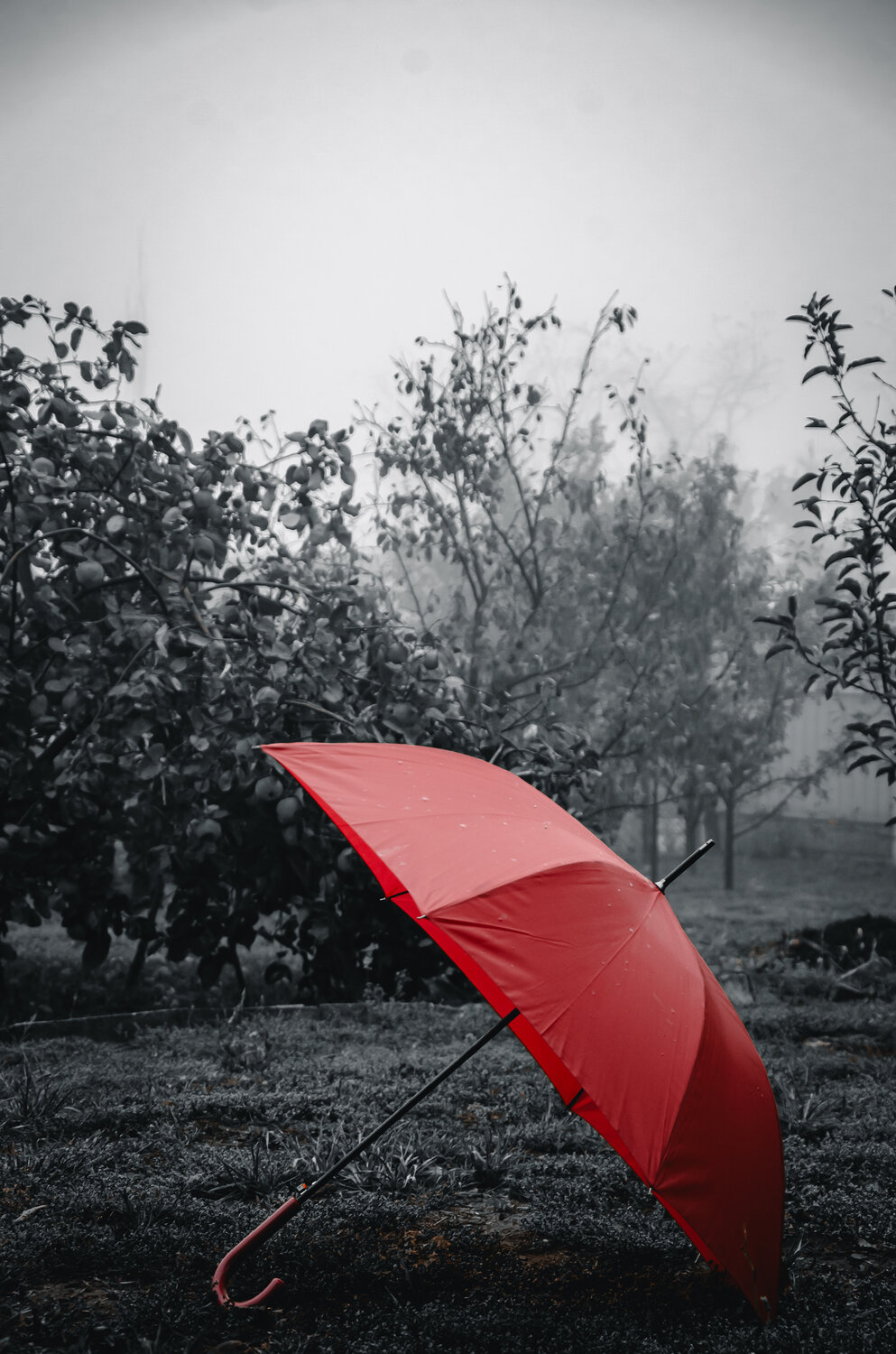 Photo #14200108