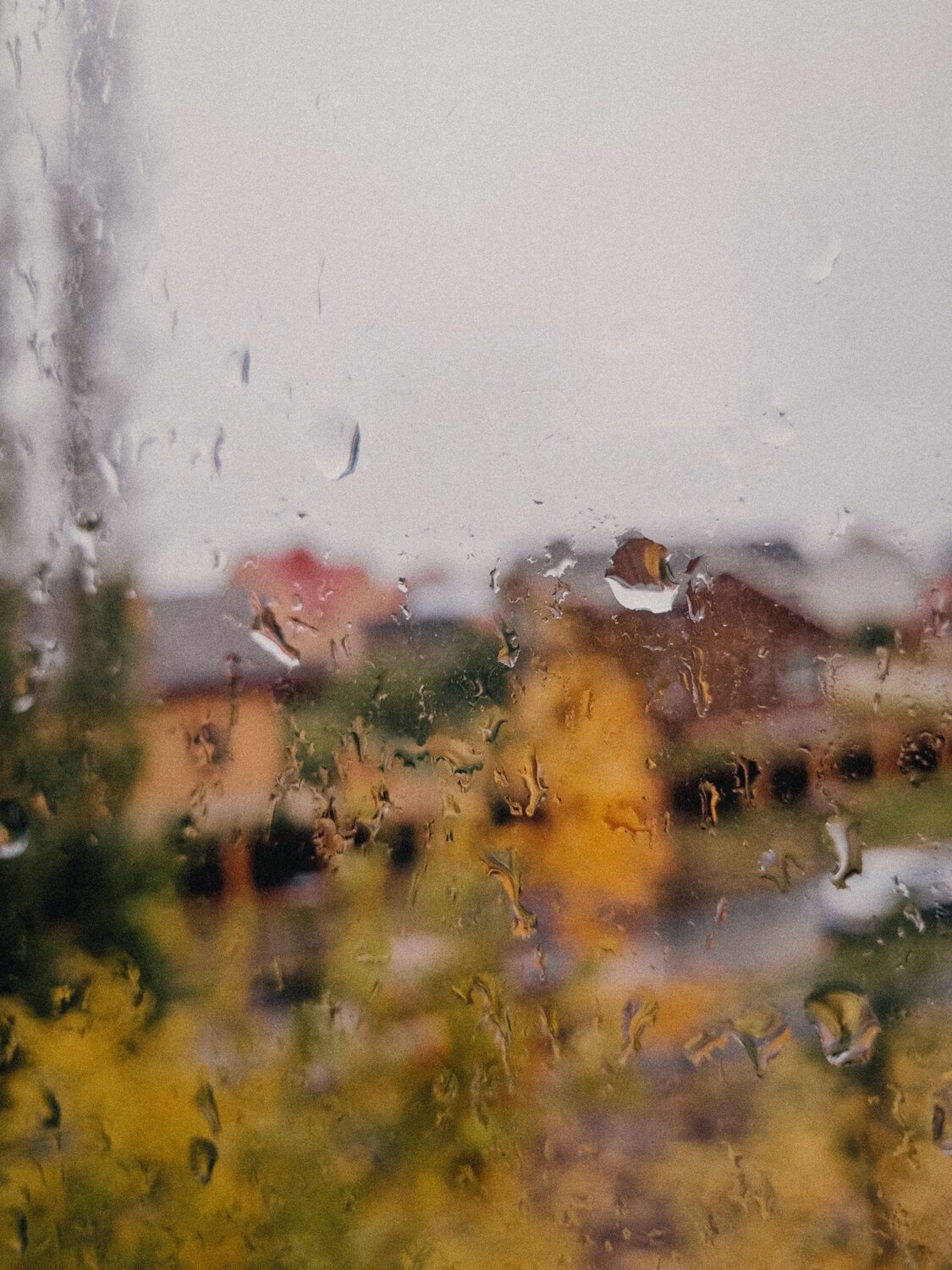 Photo #14200859