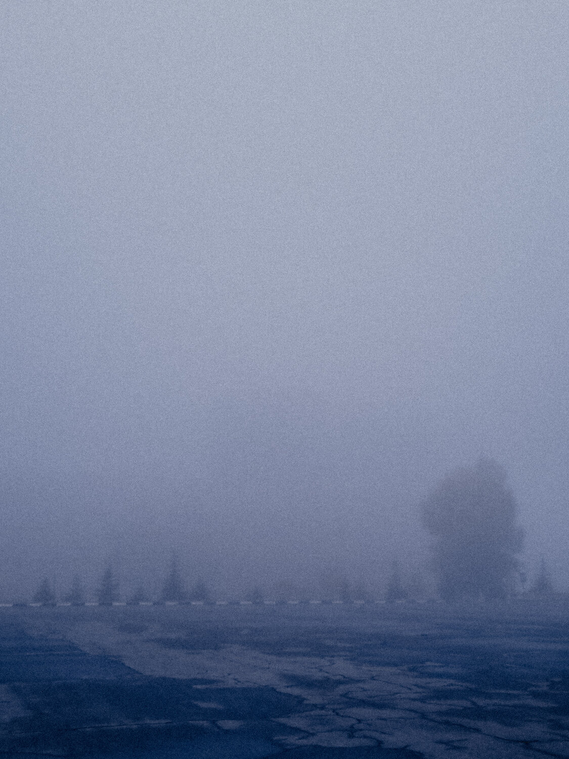 Photo #14200947