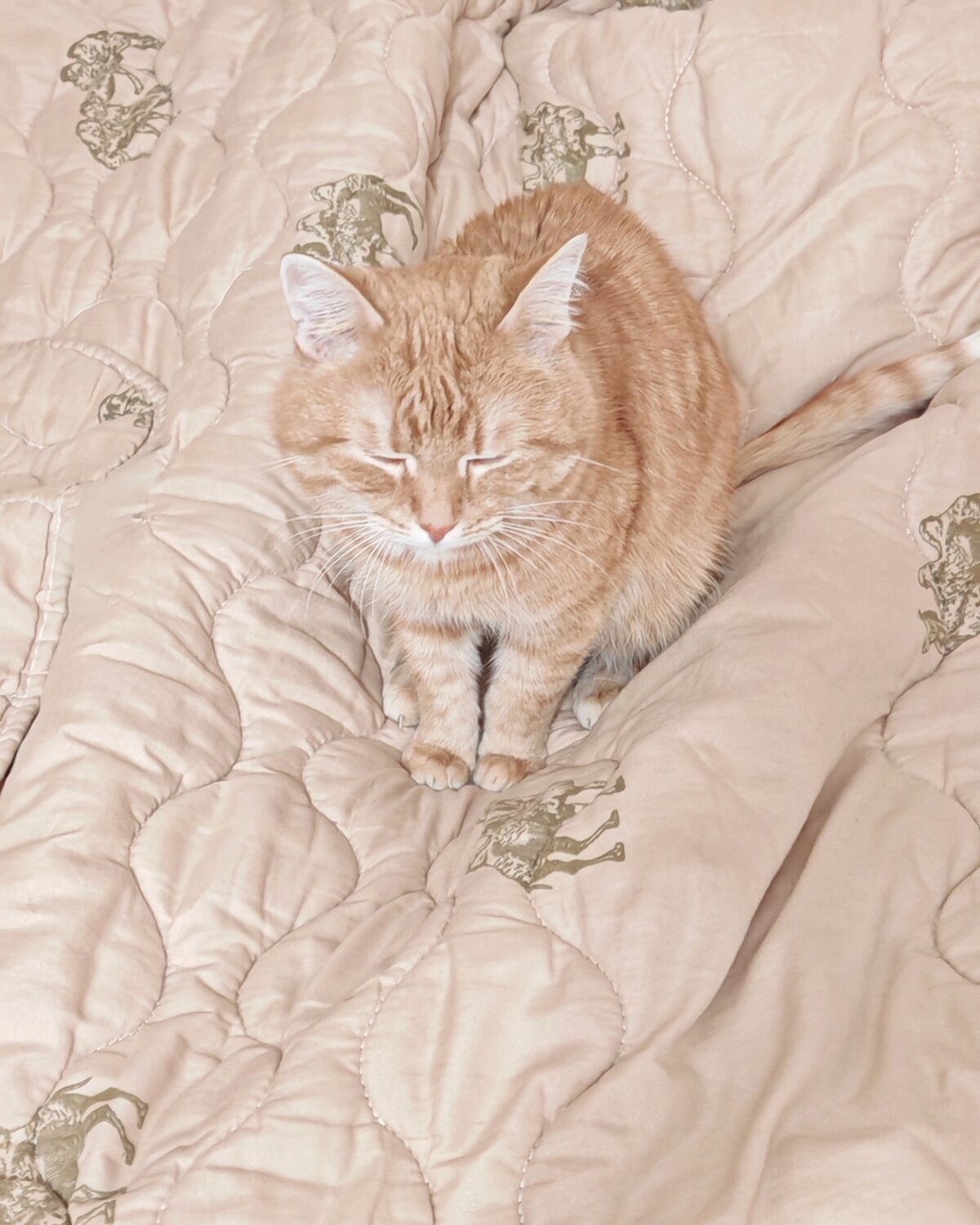Photo #14202028