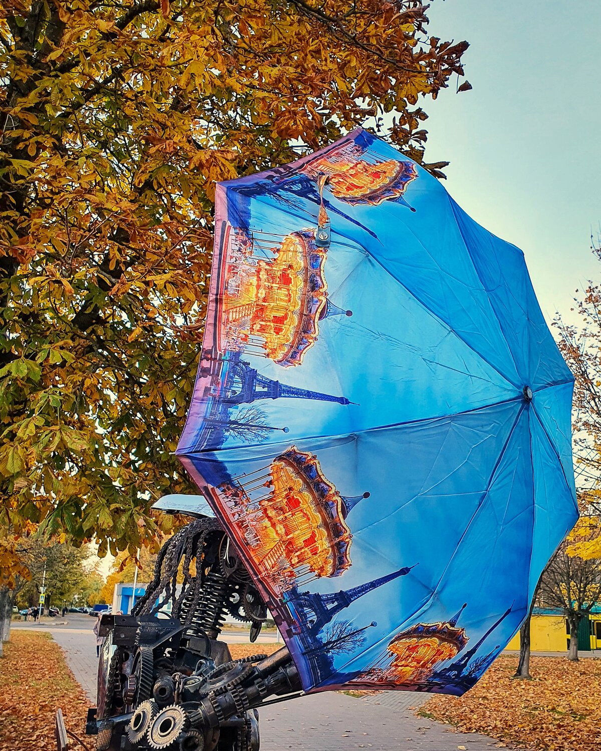 Photo #14202380