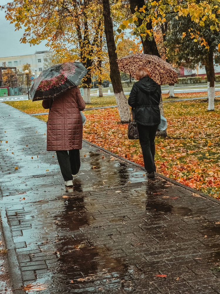 Фотография автора Олеся Бронзова