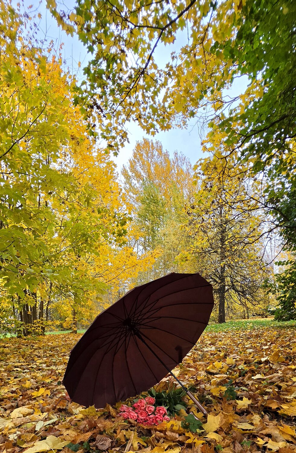 Осень в Зеленограде