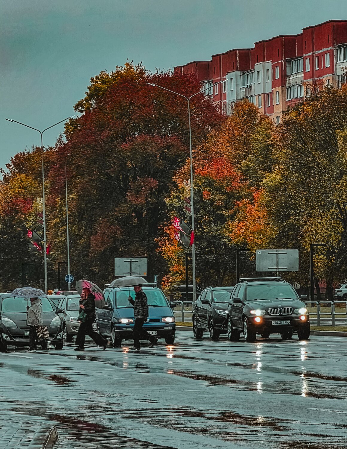 Фотография #14202887