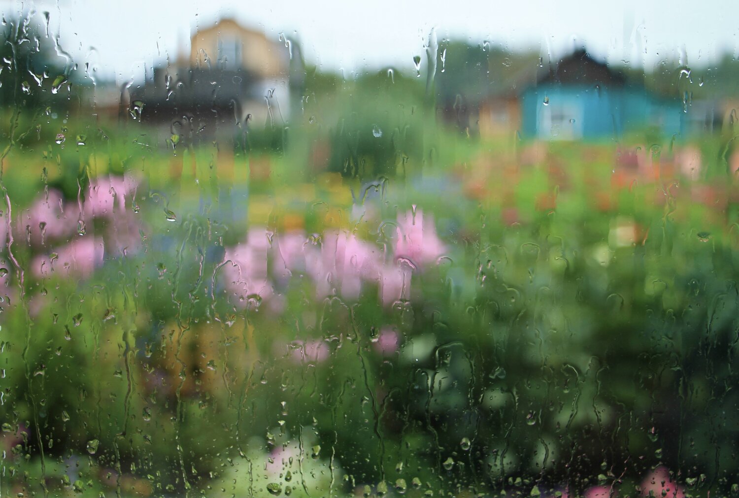 Photo #14202988