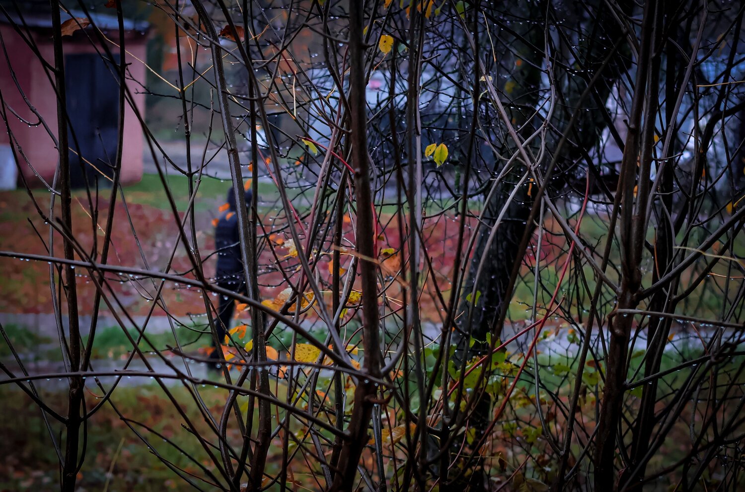 Photo #14203172