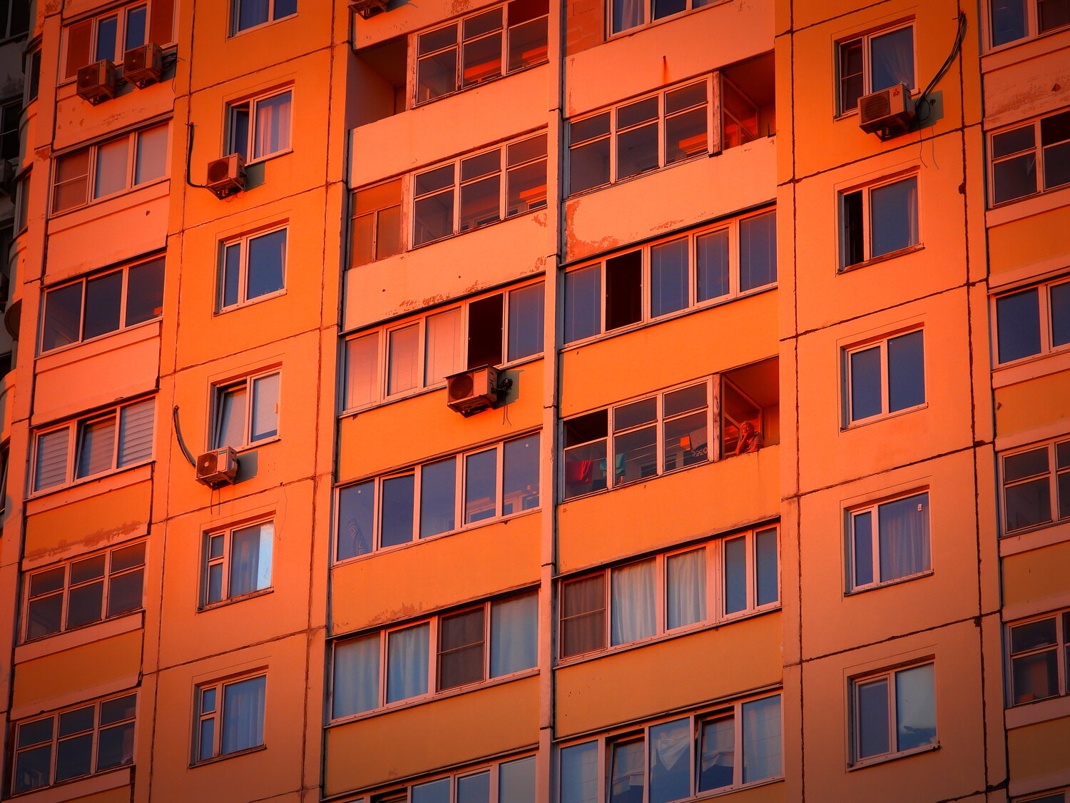Photo #14203387