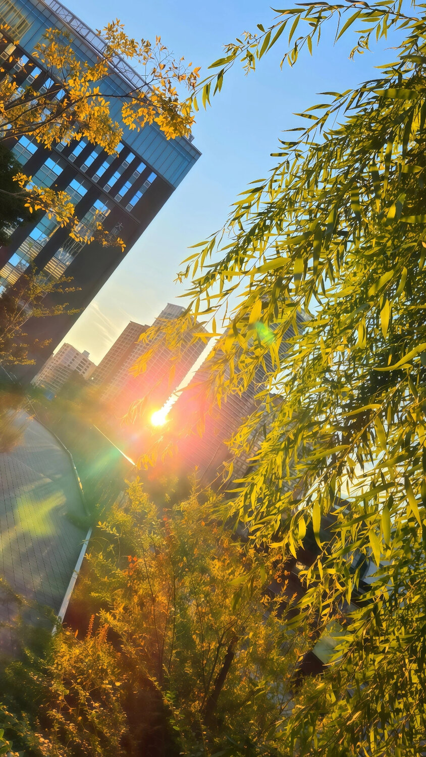 Where Autumn Meets the Sun