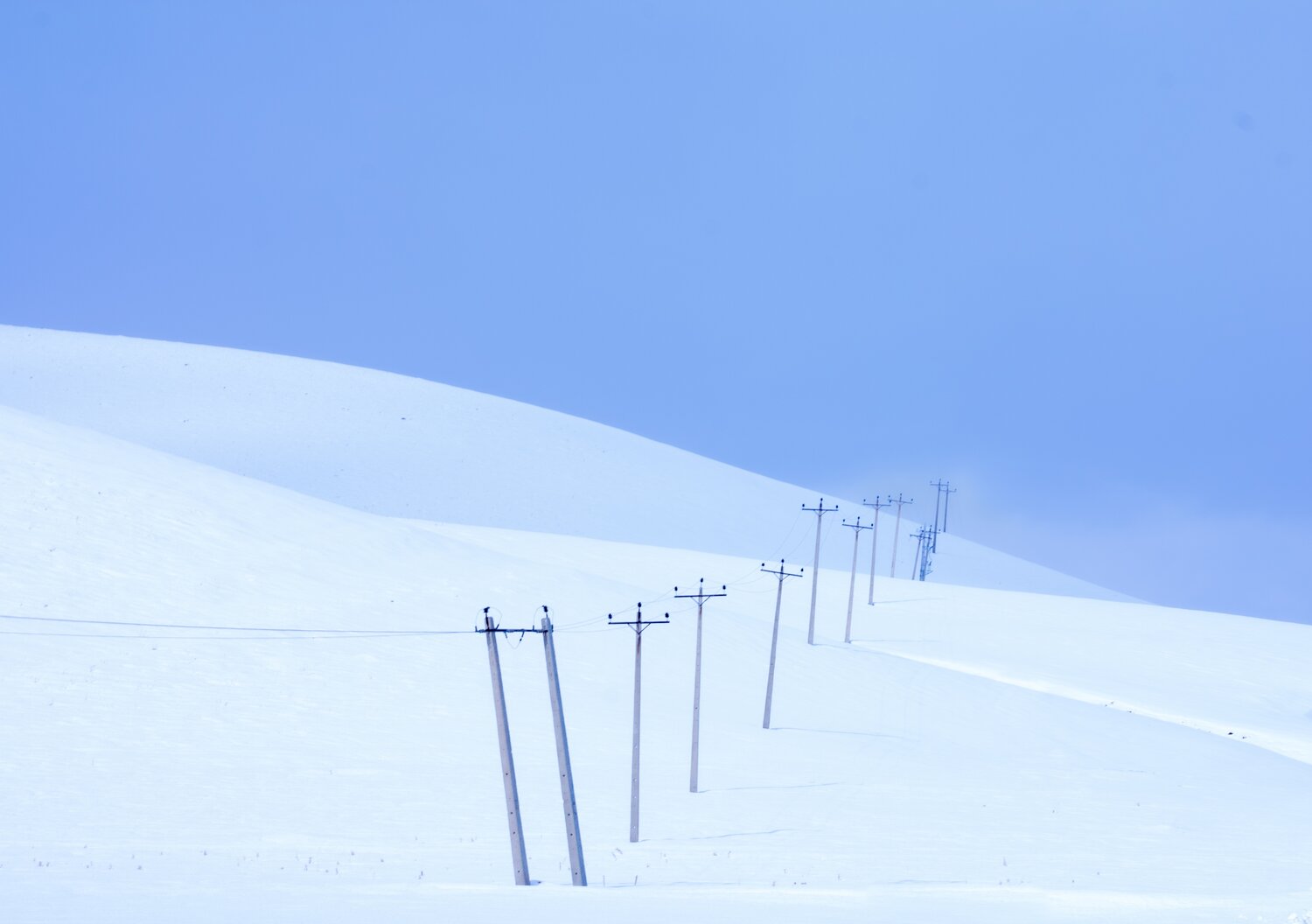 Photo #14203574