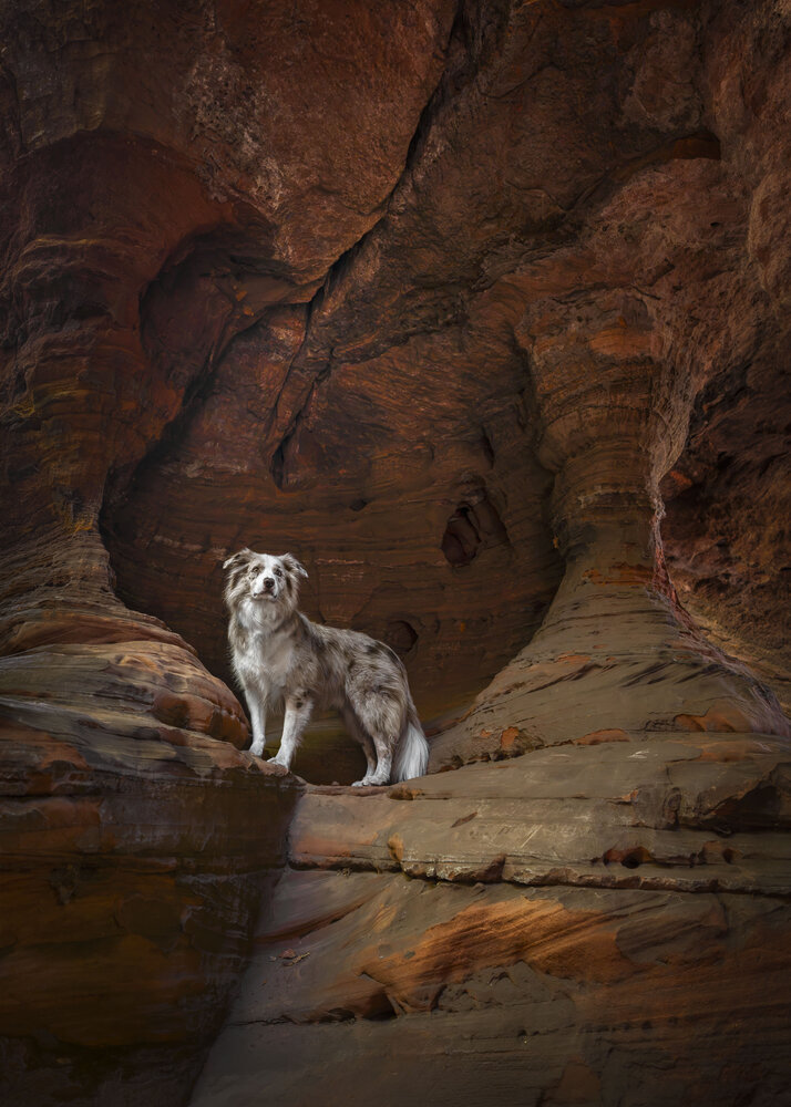 Guardian of the Rocks