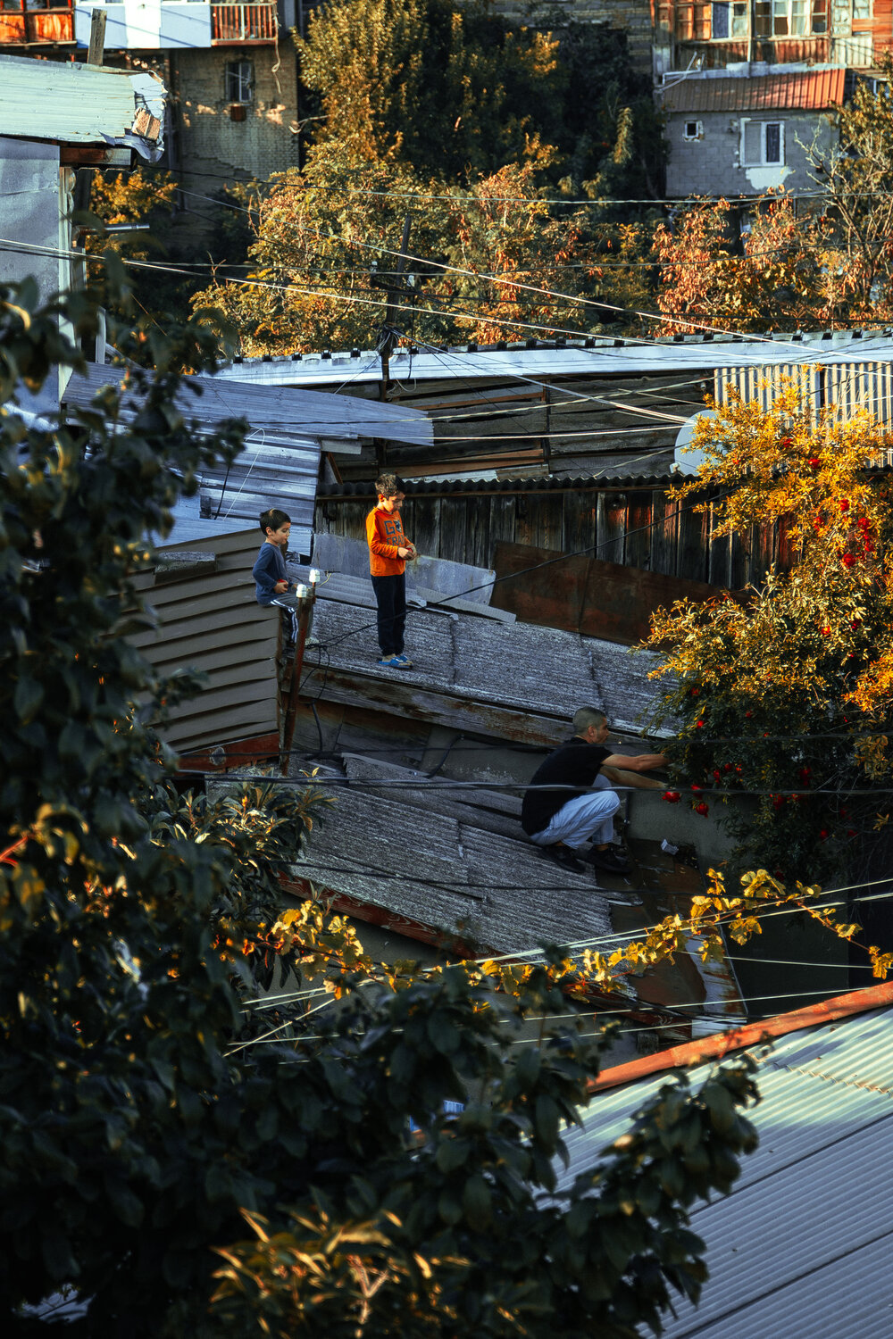 Photo #14203744
