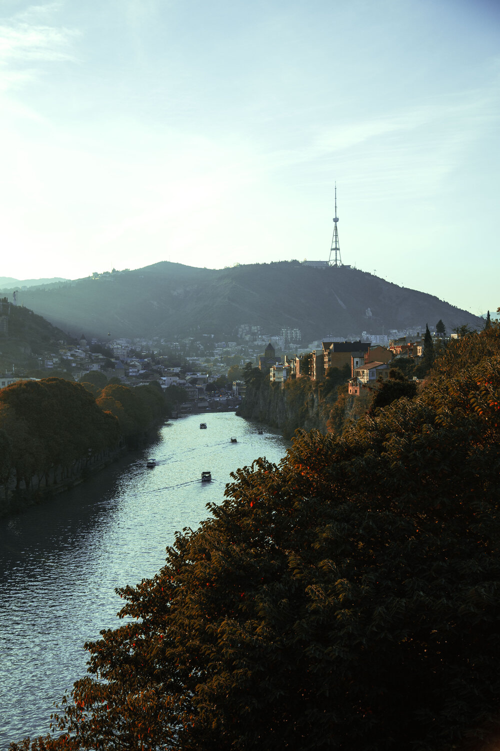 Photo #14203753