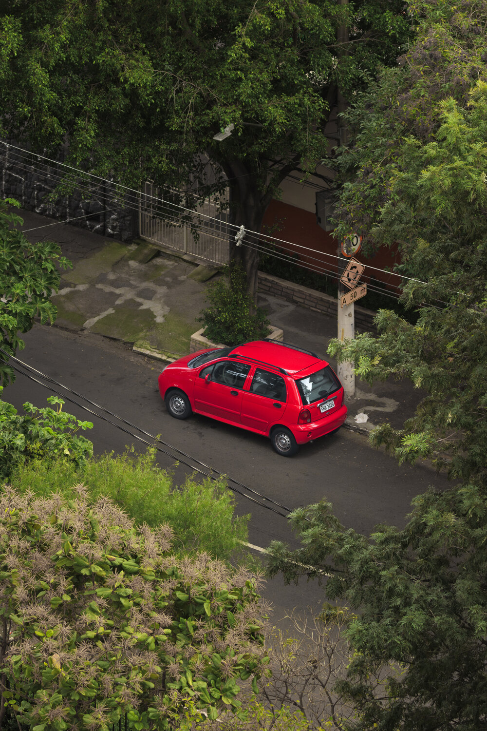 Photo #14204202